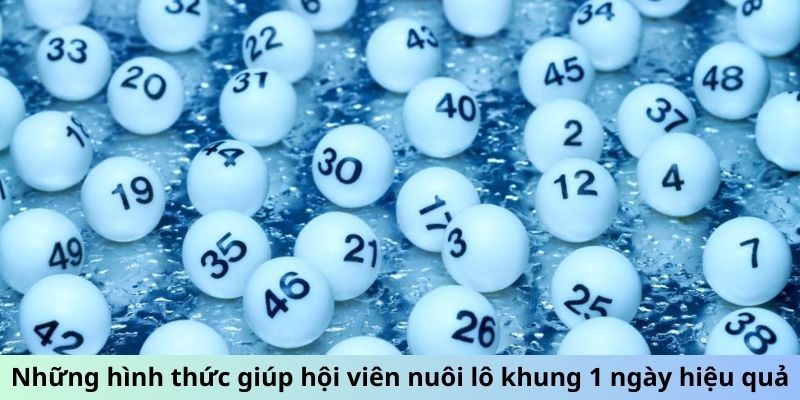 Nuôi Khung 1 Ngày - Cẩm Nang Tối Ưu Lợi Nhuận Đơn Giản 2 Trang Chủ Jun88.com #1 Việt Nam Những hình thức giúp hội viên nuôi lô khung 1 ngày hiệu quả