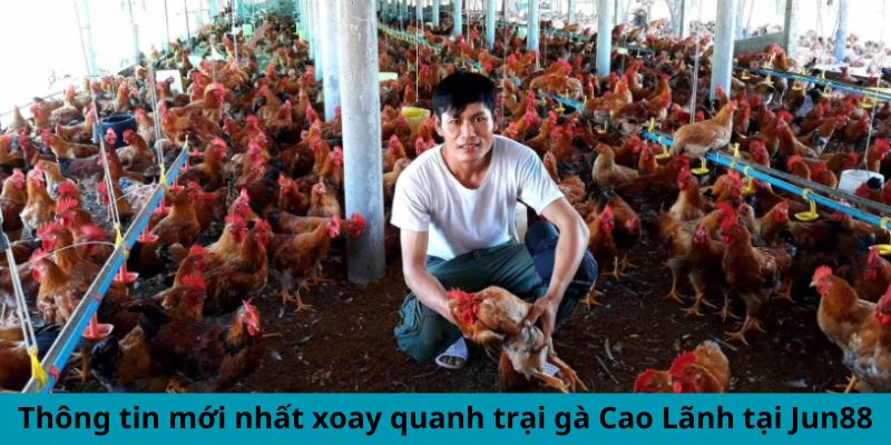 Cập Nhật Thông Tin Mới Nhất Xoay Quanh Trại Gà Cao Lãnh 1 Trang Chủ Jun88.com #1 Việt Nam Thông tin mới nhất xoay quanh trại gà Cao Lãnh tại Jun88