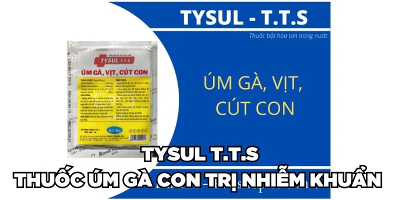 Thuốc Úm Gà Con Là Gì? Phân Loại & Cách Sử Dụng 2024 4 Trang Chủ Jun88.com #1 Việt Nam Tysul T.T.S - Thuốc úm gà con trị nhiễm khuẩn
