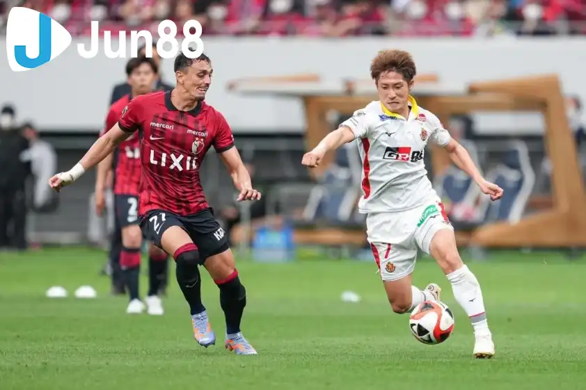 Albirex Niigata đang chìm sâu dưới đáy BXH.